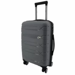 RGL PP2 4-Rollen Trolley S 55 Cm Silber